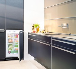 Zeige Produkte für Kategorie Gefrierschrank Einbau Bild für Kategorie Gefrierschrank Einbau