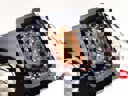 Zeige Details für MIELE HUB 5001-M Universalbräter  Bild von MIELE HUB 5001-M Universalbräter