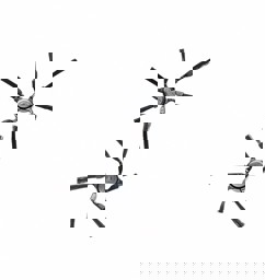 Zeige Details für MIELE RX2-SB Seitenbürste 2 Stück Bild von MIELE RX2-SB Seitenbürste 2 Stück