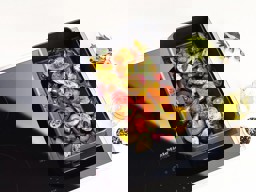 Zeige Details für MIELE HUB 62-22 Universalbräter Bild von MIELE HUB 62-22 Universalbräter