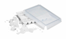 Zeige Details für LIEBHERR 9881174 Eiswürfelschale mit Deckel Bild von LIEBHERR 9881174 Eiswürfelschale mit Deckel