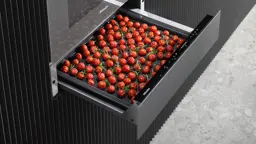 Zeige Details für MIELE ESW 7010 Gourmet-Wärmeschublade Bild von MIELE ESW 7010 Gourmet-Wärmeschublade